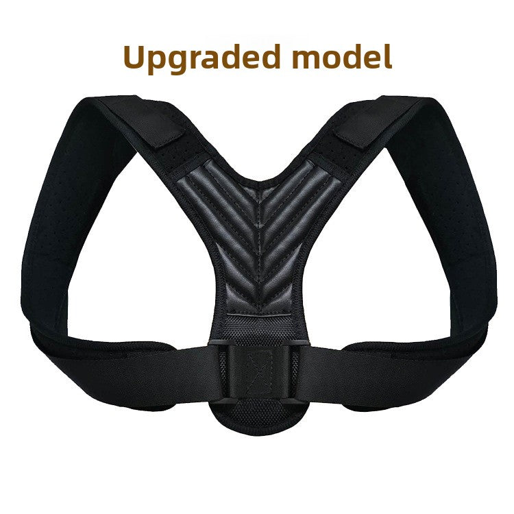 Back correction belt
